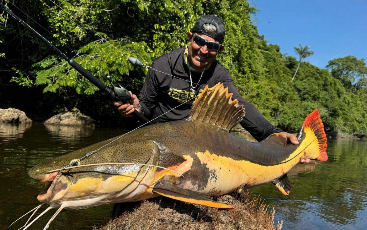 PEIXES DE COURO E SUAS CURIOSIDADES